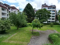 Grünzone im Innenbereicht