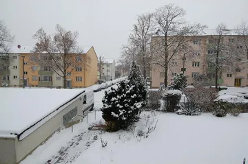 Ausblick zur Straße