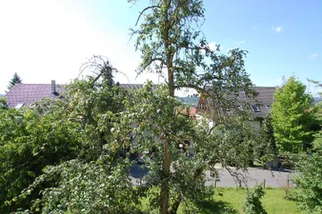 Ausblick aus dem Wohnzimmer