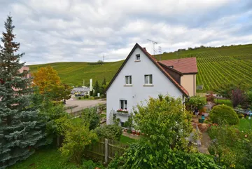 Ausblick vom Wohnzimmer