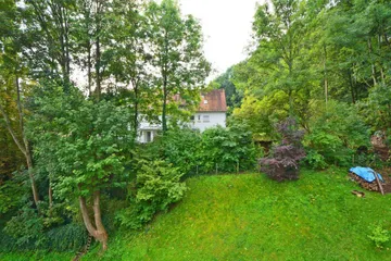 grüner Blick vom Balkon