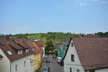 Blick auf die Weinberge