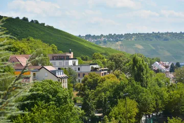 zu den Weinbergen