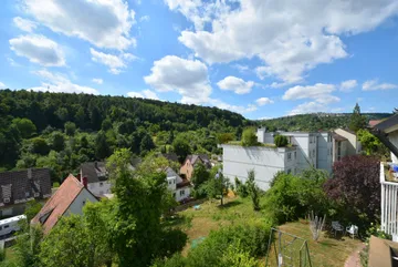 Waldblick nach Süden