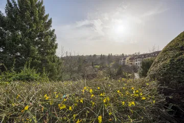 Blick zum Schnarrenberg