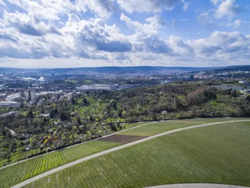 Luftbild: an den Weinbergen