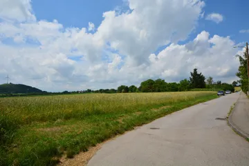 Direkt am Wald und Wiese