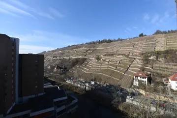 Blick zu den Weinbergen