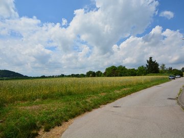 Direkt am Wald und Wiese