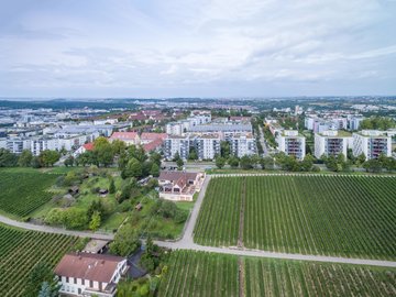 Wohnen an den Weinbergen