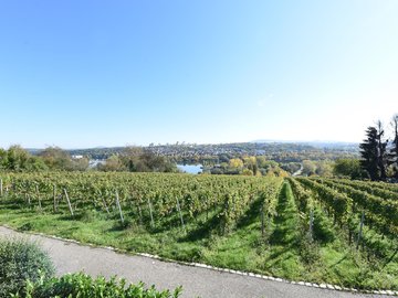 Blick nach Süd-Osten