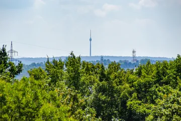 Blick zum Fernsehturm