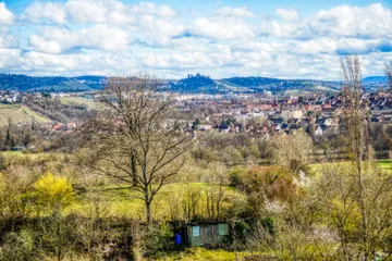 Blick zum Kappelberg