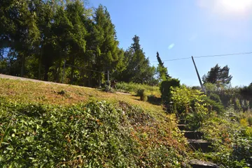 am Landschaftsschutzgebiet