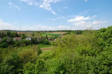 Blick ins Grüne aus der Küche