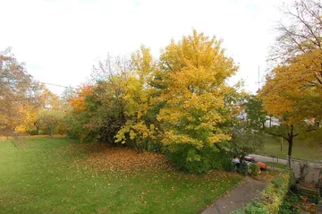 Aussicht vom Balkon