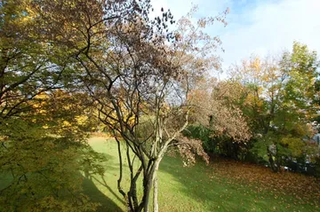 Blick vom Küchen-Balkon