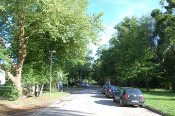 Straßenallee links