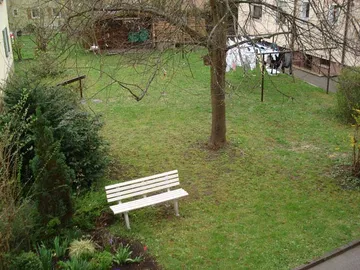 Gemeinschaftsgarten