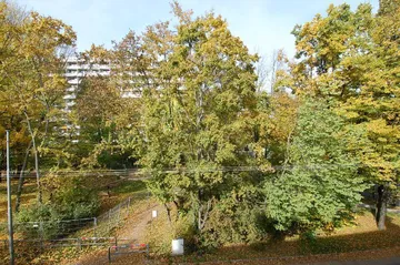 Aussicht von Balkon