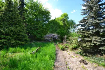 Garten nach Westen