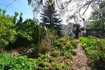 Garten Richtung Haus