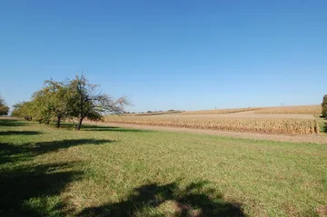 direkt am Feldrand