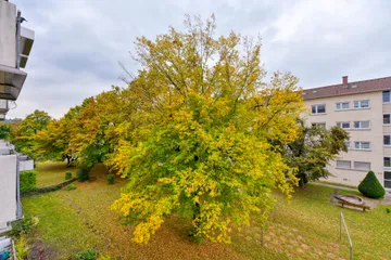 Blick nach Süd-Westen