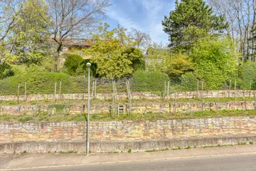 Blick nach Nord-Osten