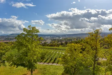 Blick zum Neckar