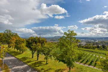 Fernblick nach Osten