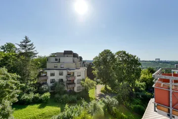 Blick zu den Weinbergen