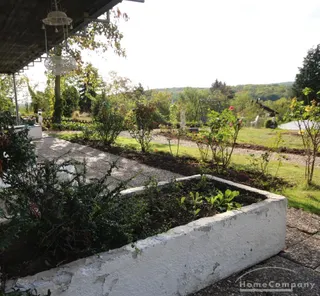 Blick in den Garten