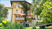 Hausrückseite mit Baumgrün