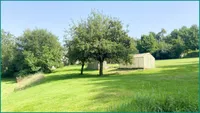 ...Gewächshaus