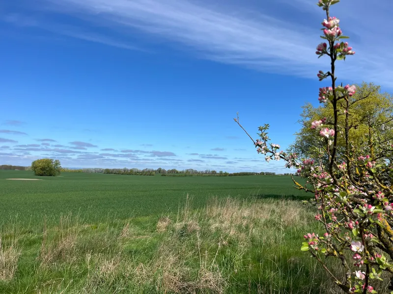 Klein Schwansee – Kapitalanlage mit Ostseeblick – 2km zur Ostsee !