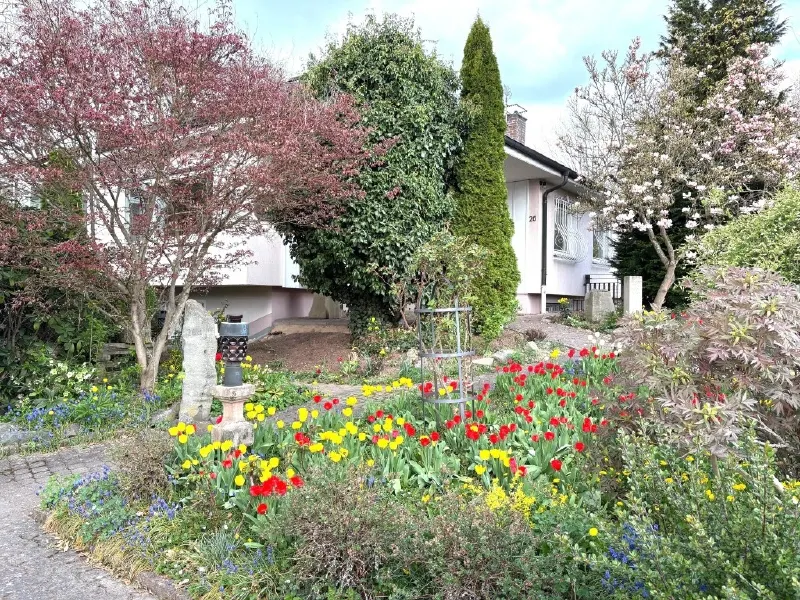 HOME & OFFICE… EFH MIT ELW, GROSSEM GRUNDST&Uuml;CK UND ZWEI GARAGEN…