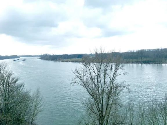 Traumhafter Rheinblick