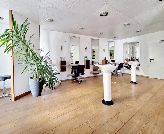 Salon Bold 1