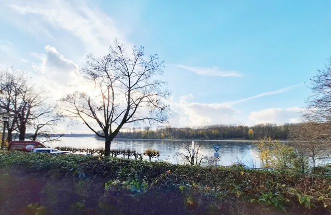 Traumhafter Rheinblick