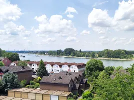 Rheinblick