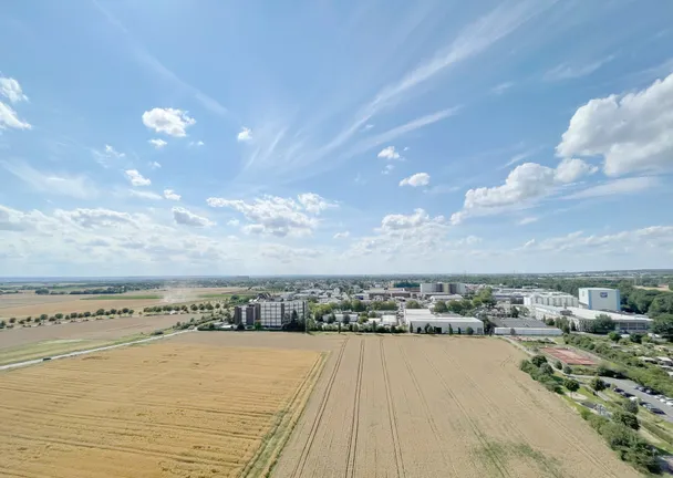 Fernblick
