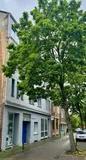 Straßenseite
