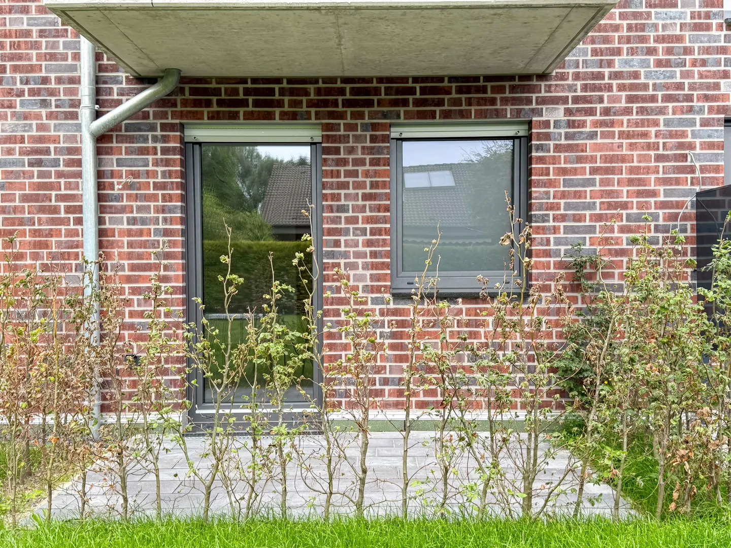 Münster-Wolbeck - Moderne Single-EG-Wohnung mit Terrasse und TG-Stellplatz - Foto 4