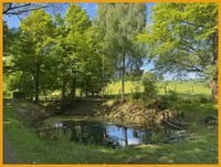 Blick über den kleinen Teich