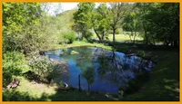 Blick über den Teich