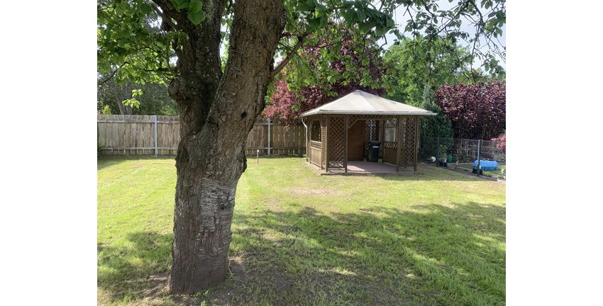 Garten mit Holzpavillon