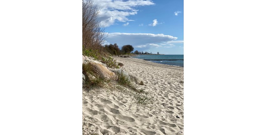 Naturstrand im Norden