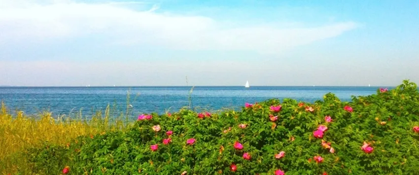 Weitsicht am Strand