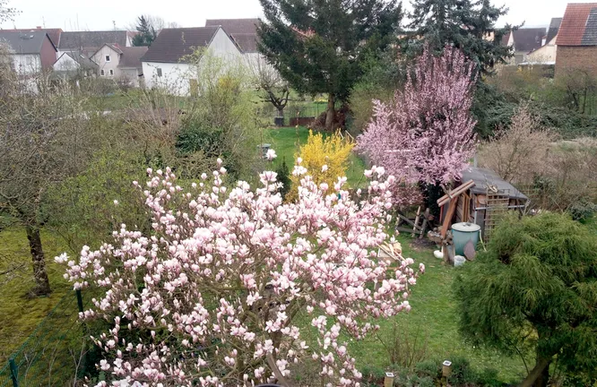 Garten
